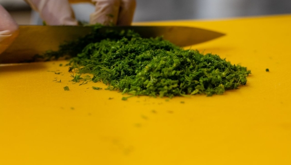 Comment Conserver la Menthe et la Coriandre Fraîches Plus de Deux Semaines